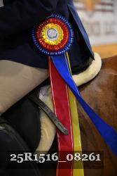 25R1516_08261 thumbnail