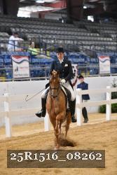 25R1516_08262 thumbnail