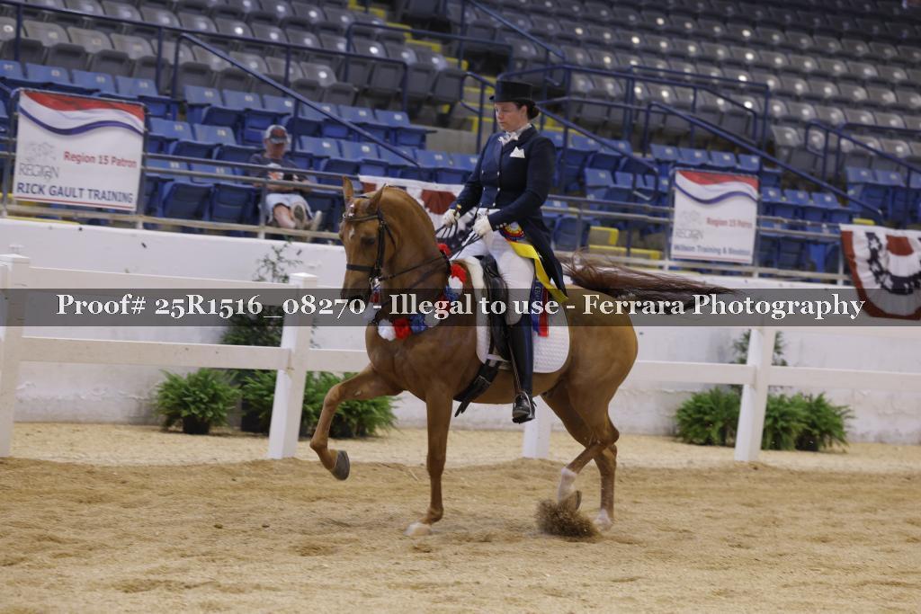 Proof Number 25R1516_08270
