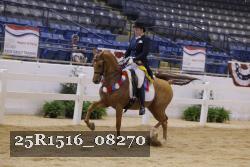 25R1516_08270 thumbnail