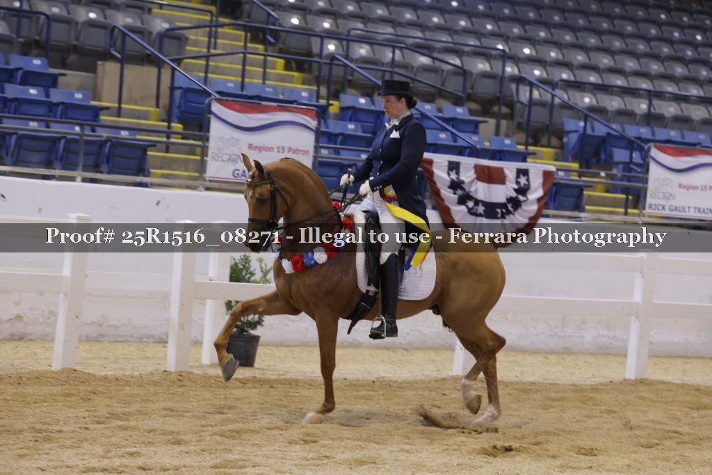 Proof Number 25R1516_08271