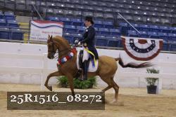 25R1516_08272 thumbnail