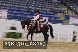 25R1516_08283 thumbnail