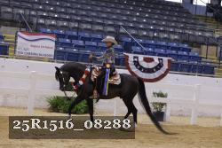 25R1516_08288 thumbnail