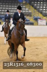 25R1516_08300 thumbnail