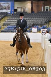 25R1516_08303 thumbnail
