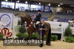 25R1516_08313 thumbnail