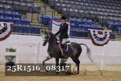 25R1516_08317 thumbnail