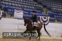 25R1516_08319 thumbnail