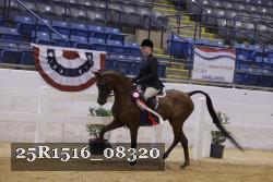 25R1516_08320 thumbnail