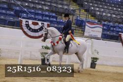 25R1516_08323 thumbnail