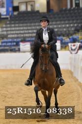 25R1516_08338 thumbnail