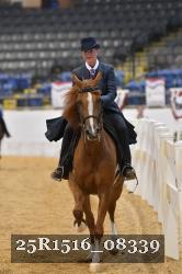 25R1516_08339 thumbnail