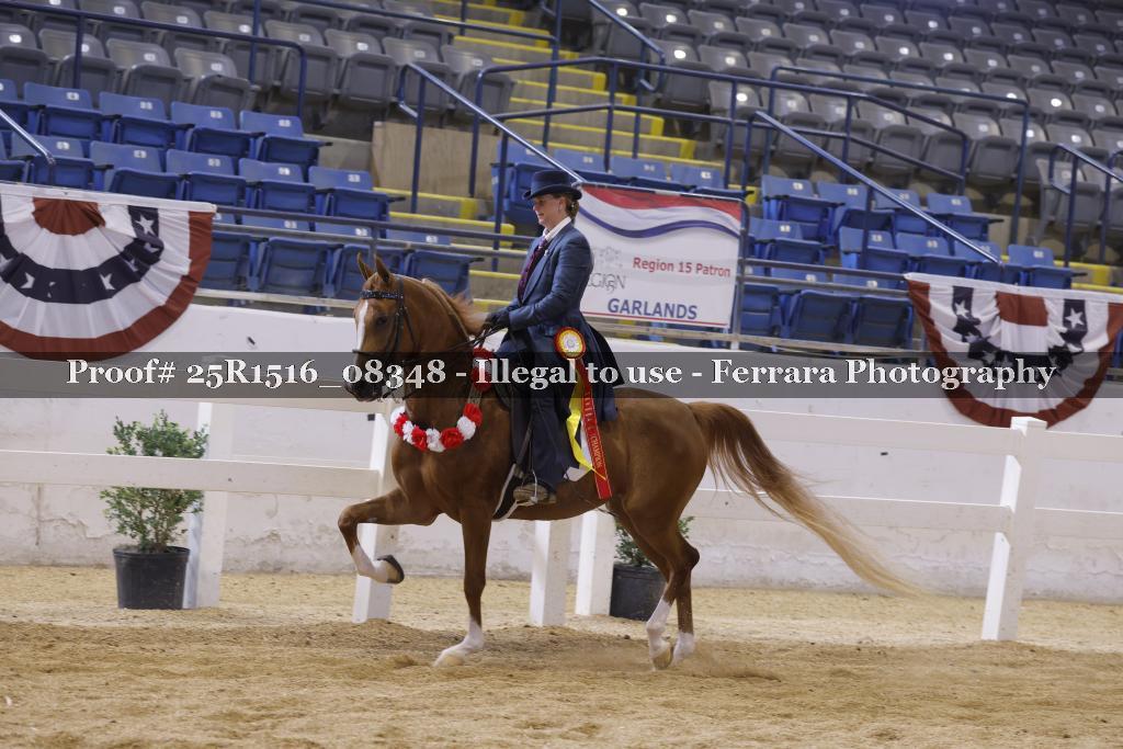 Proof Number 25R1516_08348