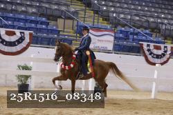 25R1516_08348 thumbnail