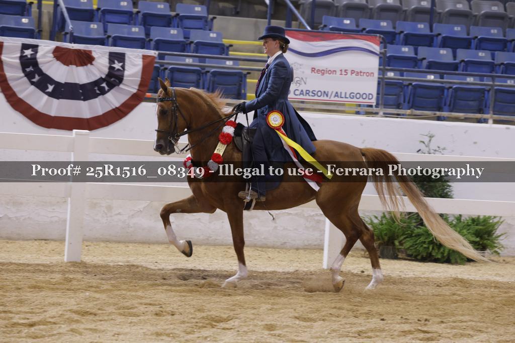 Proof Number 25R1516_08349