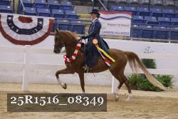 25R1516_08349 thumbnail
