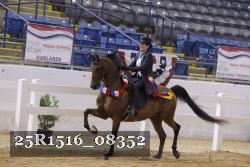 25R1516_08352 thumbnail