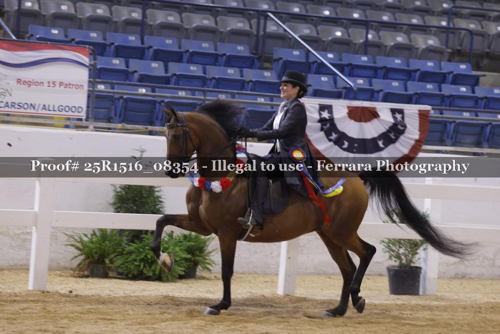 Proof Number 25R1516_08354