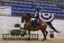 25R1516_08354 thumbnail