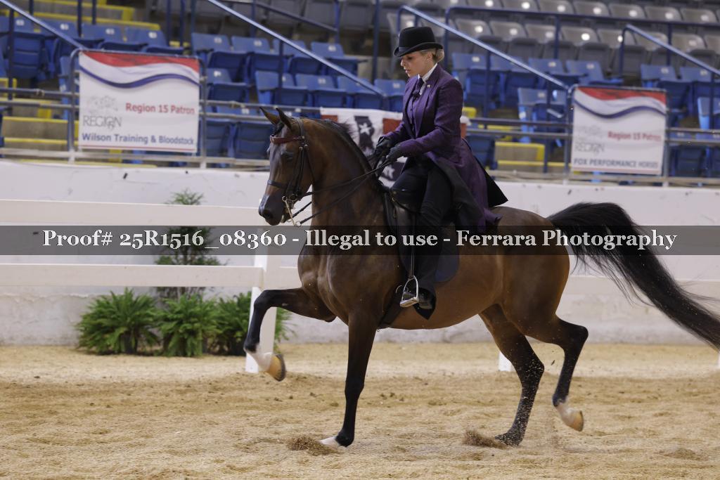 Proof Number 25R1516_08360