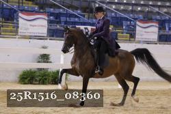 25R1516_08360 thumbnail
