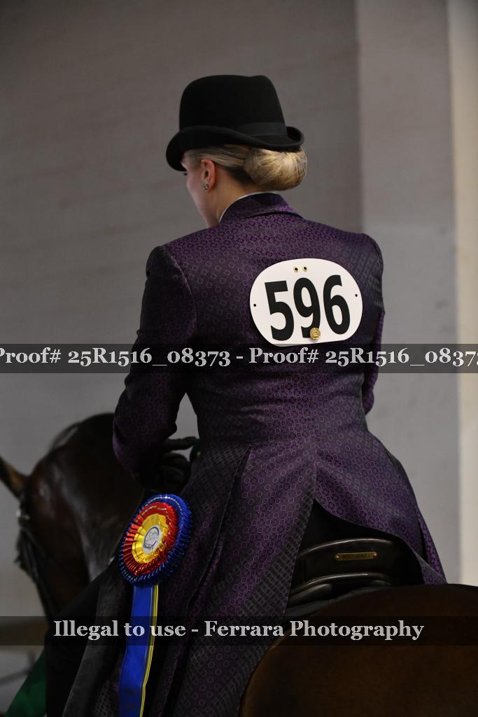 Proof Number 25R1516_08373