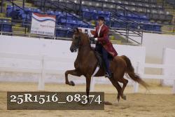 25R1516_08374 thumbnail