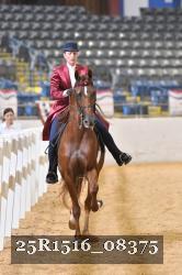 25R1516_08375 thumbnail