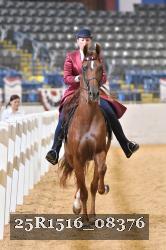 25R1516_08376 thumbnail