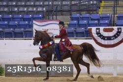 25R1516_08381 thumbnail