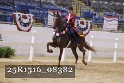 25R1516_08382 thumbnail