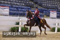 25R1516_08383 thumbnail