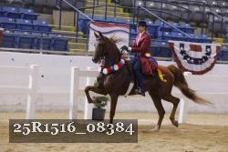 25R1516_08384 thumbnail