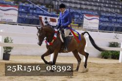 25R1516_08392 thumbnail