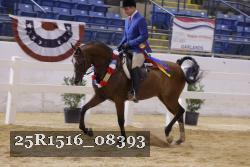 25R1516_08393 thumbnail