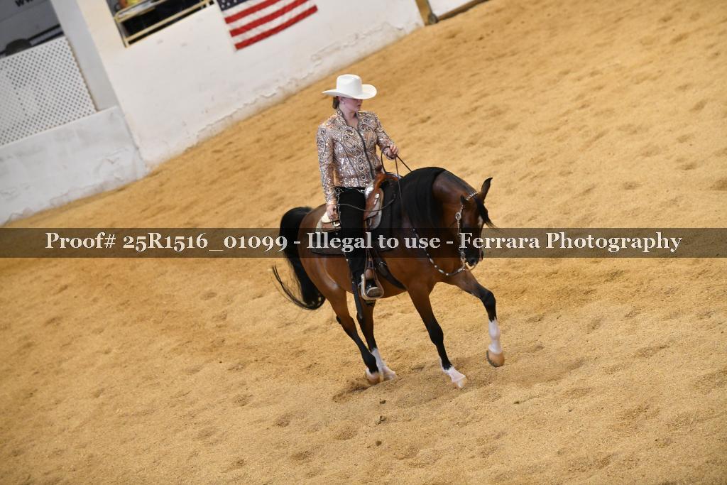 Proof Number 25R1516_01099
