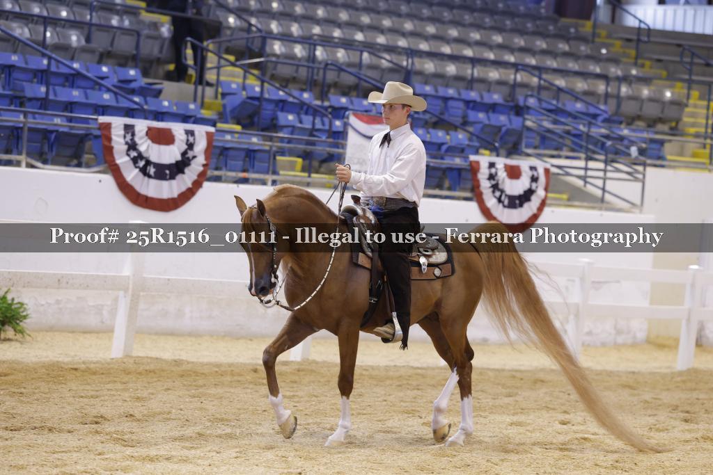 Proof Number 25R1516_01111