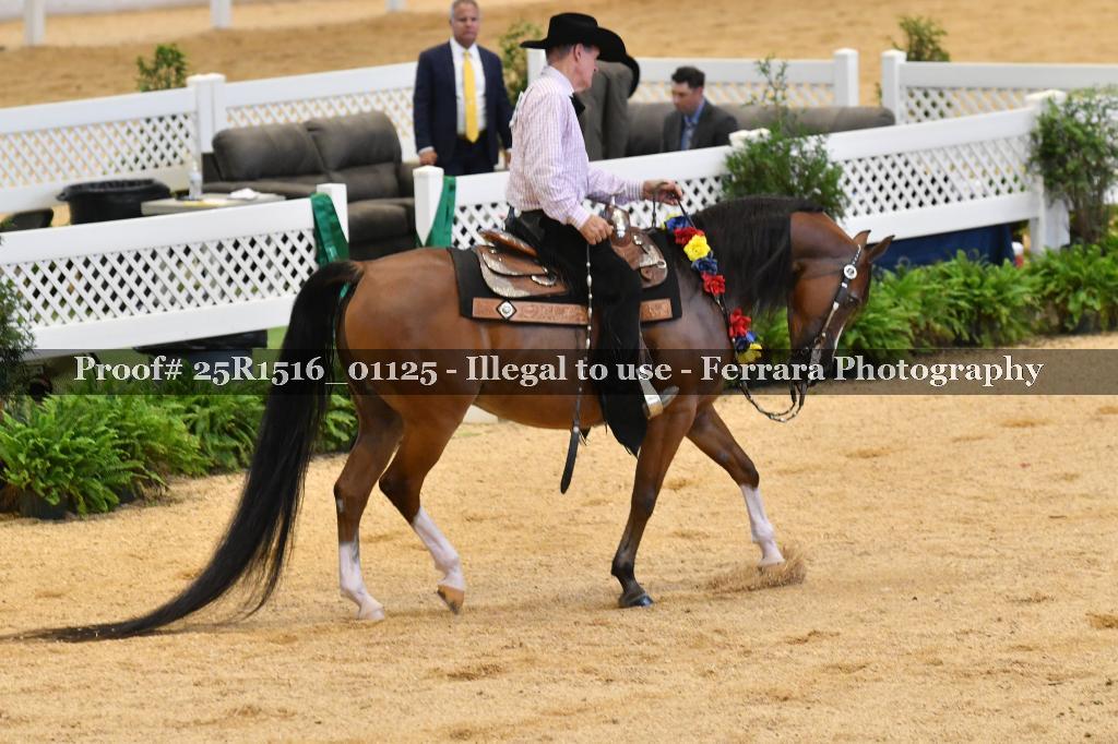 Proof Number 25R1516_01125