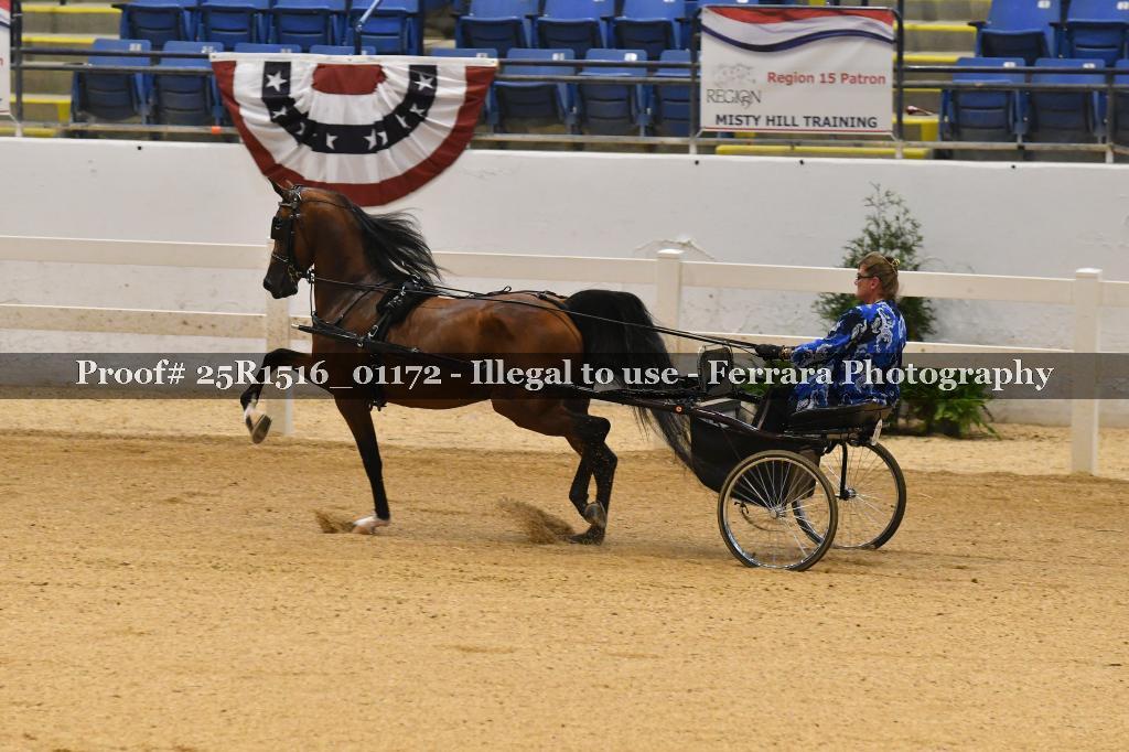Proof Number 25R1516_01172