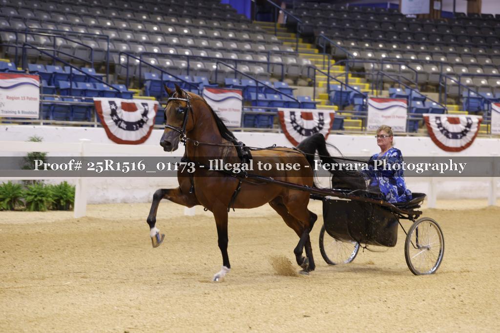Proof Number 25R1516_01173