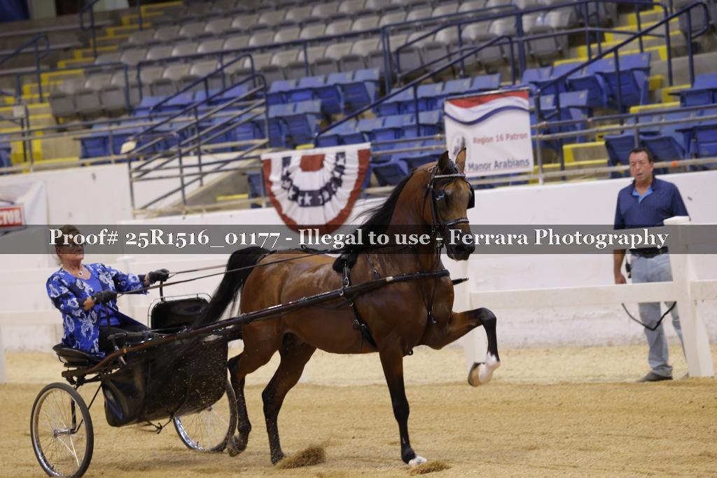 Proof Number 25R1516_01177