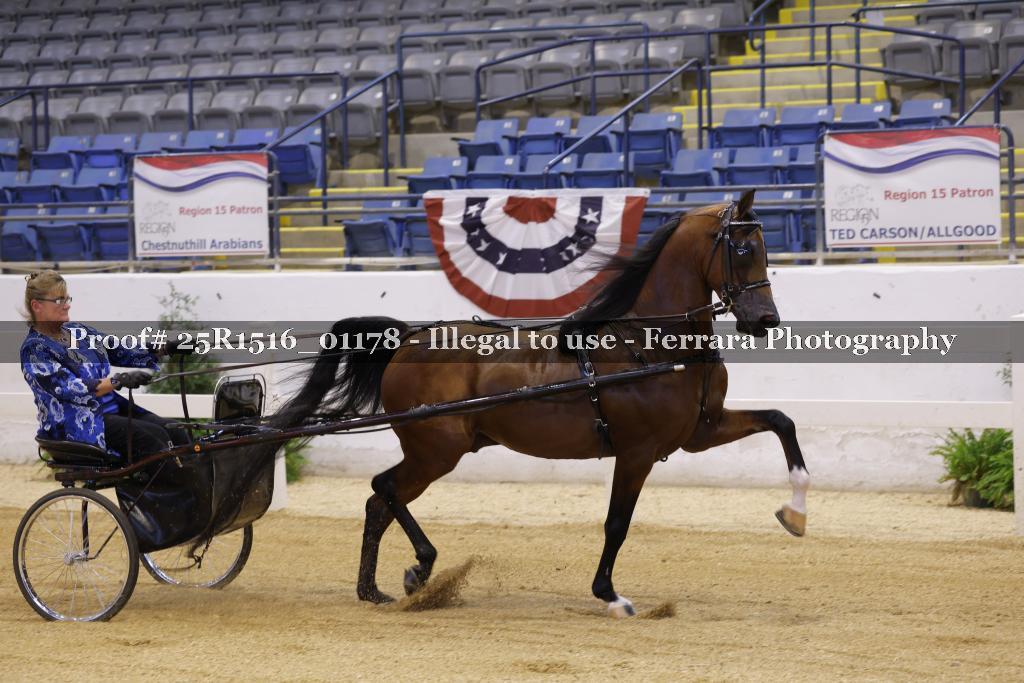 Proof Number 25R1516_01178
