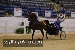 25R1516_01179 thumbnail