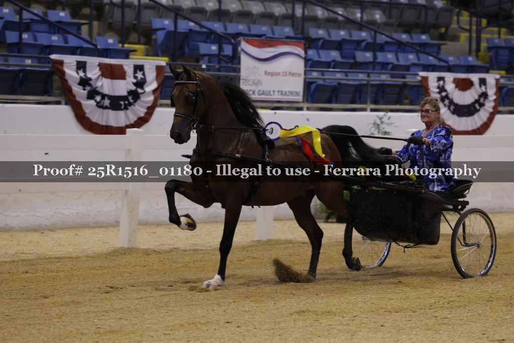Proof Number 25R1516_01180