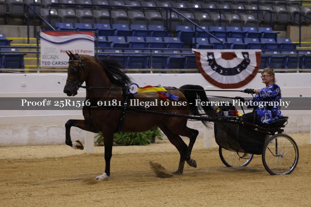Proof Number 25R1516_01181