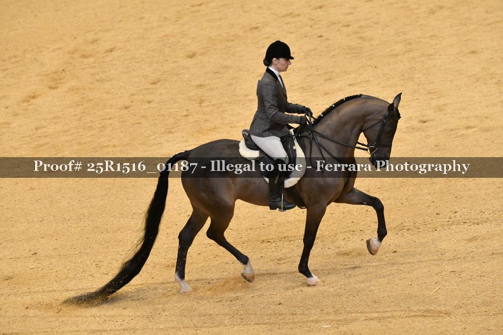 Proof Number 25R1516_01187