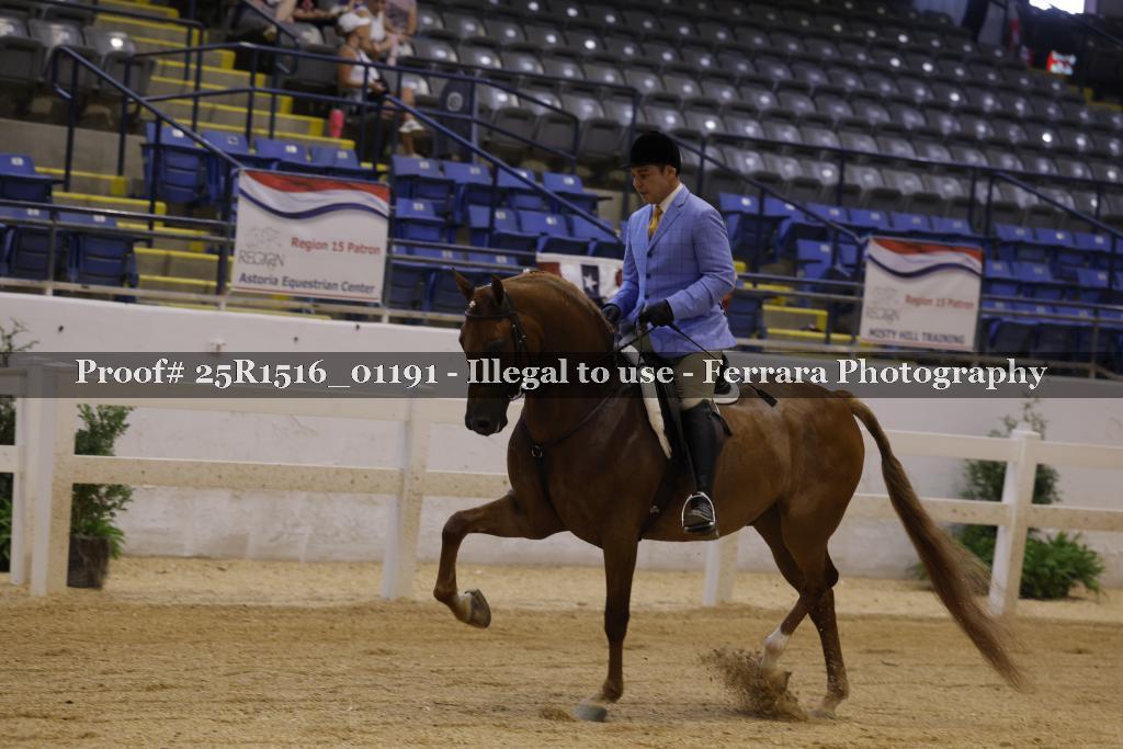Proof Number 25R1516_01191