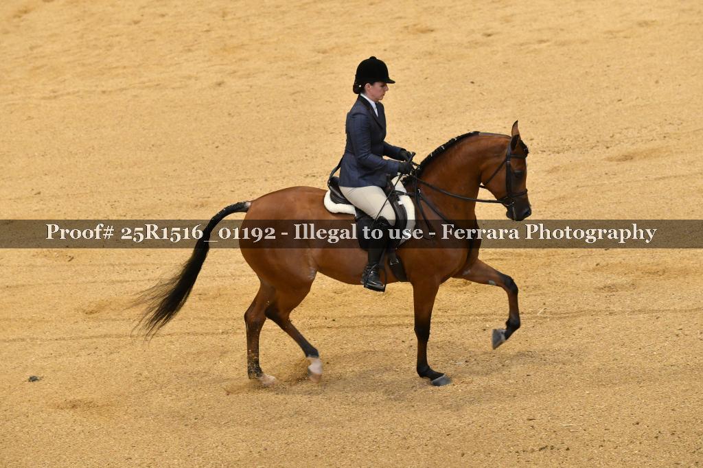 Proof Number 25R1516_01192