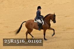 25R1516_01192 thumbnail